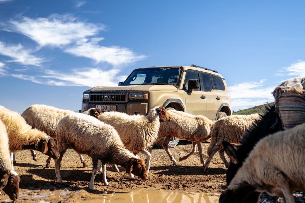 toyota land cruiser